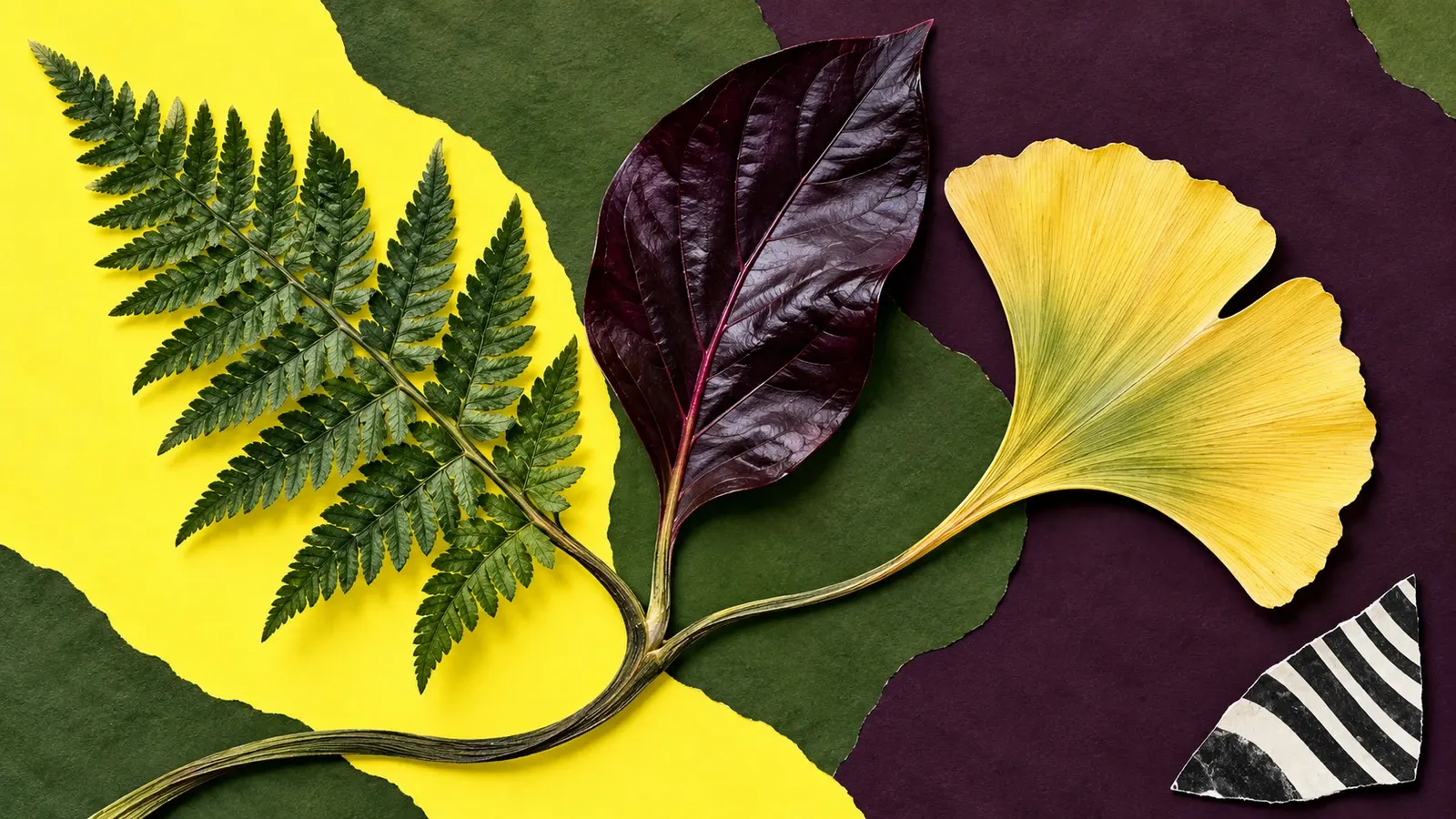 A fern, an aubergine leaf, and a yellow ginkgo fan share one branching stem across torn moss, lemon, and plum paper; a striped triangular scrap sits apart.