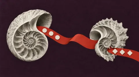 Quiz: Bash & Shell Mastery article cover
