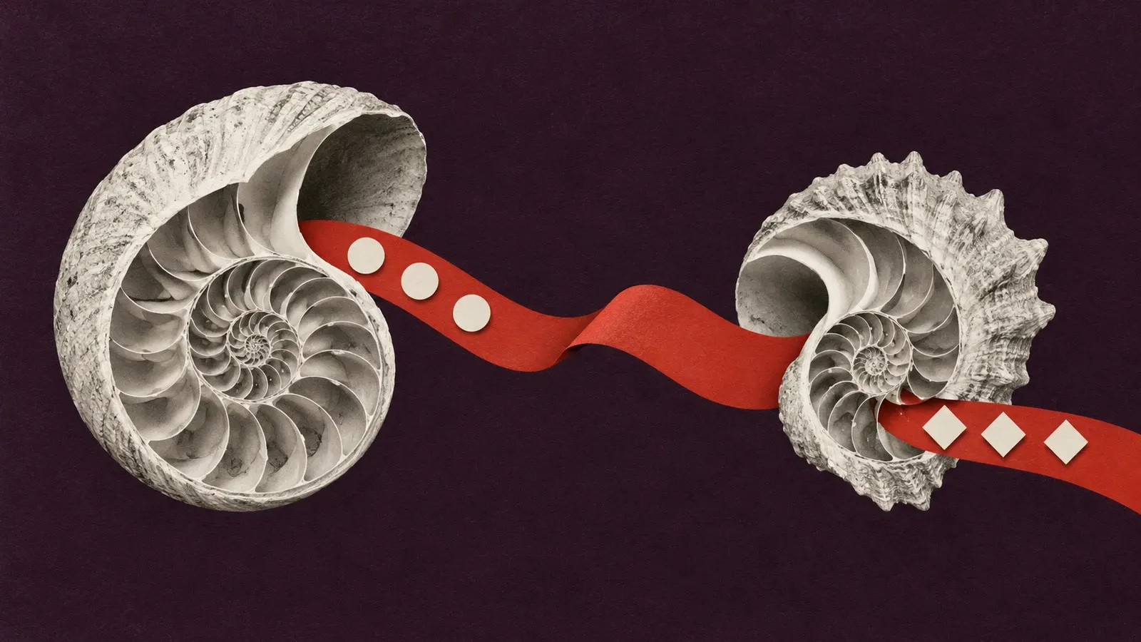 Two large white seashell cut-outs are connected by a vermillion paper ribbon carrying circles that emerge as diamond shapes.
